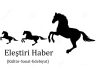 Dijitalleşen Edebiyat ve “Elestirihaber.com” Örneği | Servet Şengül