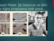 Hüseyin Peker, Ali Celep’in eleştiri kitapları üzerine yazdı…