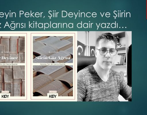 Hüseyin Peker, Ali Celep’in eleştiri kitapları üzerine yazdı…