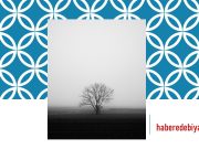 Hiçkimse | Çiğdem Çandar | Şiir Atlası