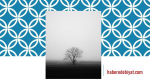 Hiçkimse | Çiğdem Çandar | Şiir Atlası