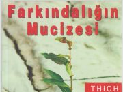 Kitap Yorumu | Farkındalığın Mucizesi | Aylin Özgür