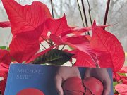 Kitap Yorumu | Notfallkoffer für die Liebe | Aylin Özgür