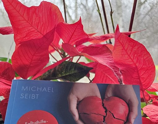 Kitap Yorumu | Notfallkoffer für die Liebe | Aylin Özgür