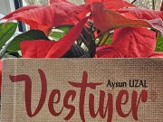 Kitap Yorumu | Vestiyer | Aylin Özgür