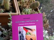 İlkay Coşkun, ‘Eleştirel Dipnotlar’ Üzerine Yazdı…