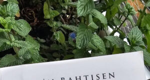 Kitap Yorumu | Yüreğe Düşen Damlalar | Aylin Özgür