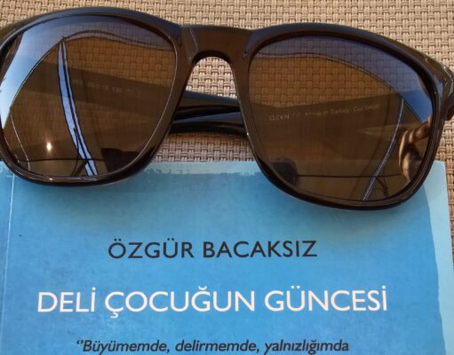Kitap Yorumu | Deli Çocuğun Güncesi | Aylin Özgür