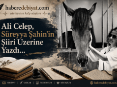 Süreyya’nın Şiiri | Ali Celep Yazdı…