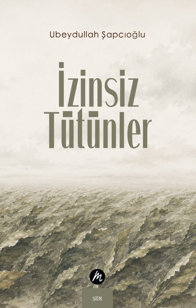 önkapakizinsiztütünler